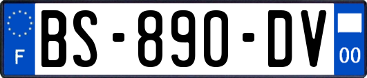 BS-890-DV