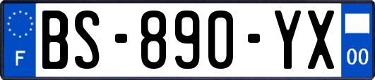 BS-890-YX