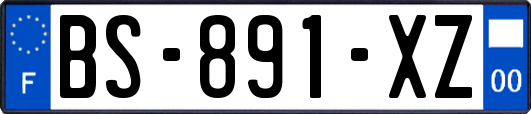 BS-891-XZ