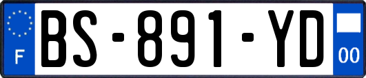 BS-891-YD