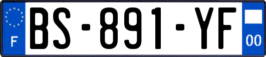BS-891-YF