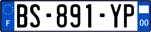 BS-891-YP