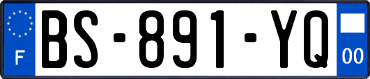 BS-891-YQ