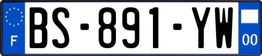BS-891-YW