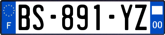 BS-891-YZ