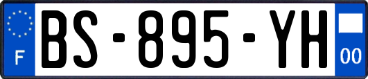 BS-895-YH