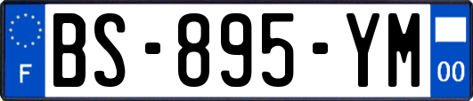 BS-895-YM
