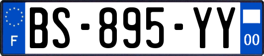BS-895-YY