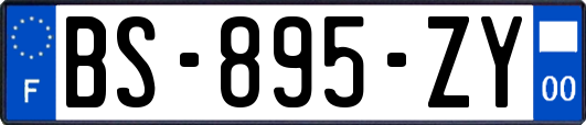 BS-895-ZY