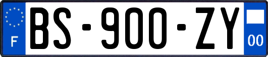 BS-900-ZY