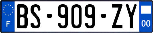 BS-909-ZY