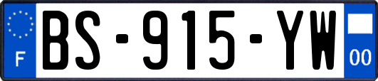 BS-915-YW