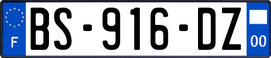 BS-916-DZ