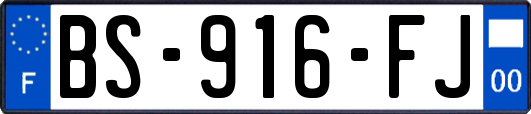 BS-916-FJ