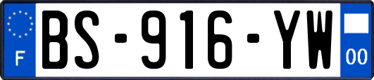 BS-916-YW