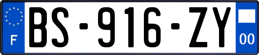 BS-916-ZY