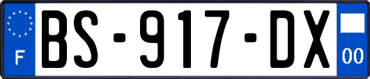 BS-917-DX