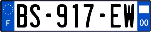 BS-917-EW