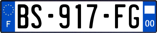BS-917-FG