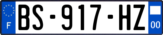 BS-917-HZ