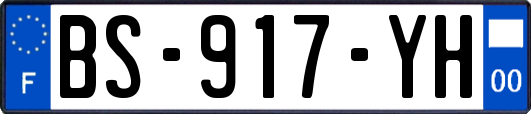 BS-917-YH