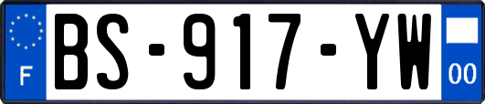 BS-917-YW