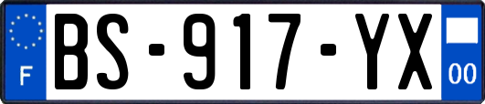 BS-917-YX