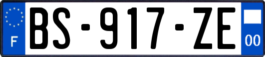 BS-917-ZE