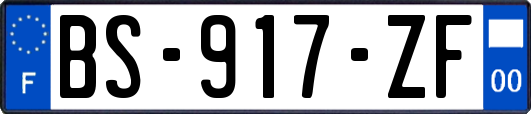 BS-917-ZF