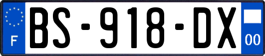 BS-918-DX