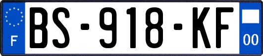 BS-918-KF