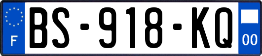 BS-918-KQ