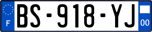 BS-918-YJ