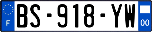 BS-918-YW