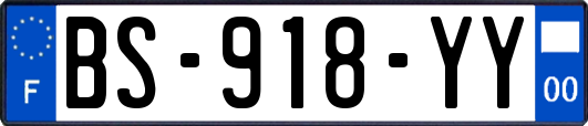 BS-918-YY