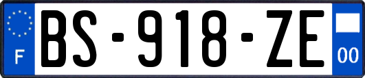 BS-918-ZE
