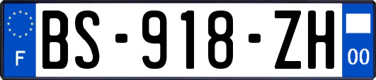 BS-918-ZH