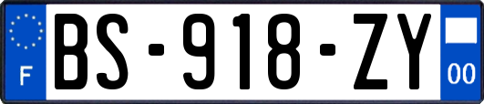BS-918-ZY