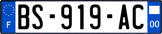 BS-919-AC