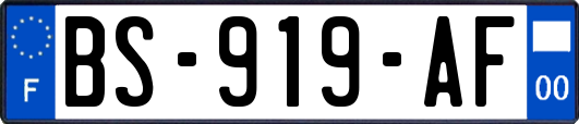 BS-919-AF