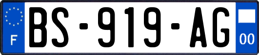 BS-919-AG