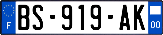 BS-919-AK