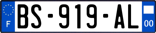 BS-919-AL