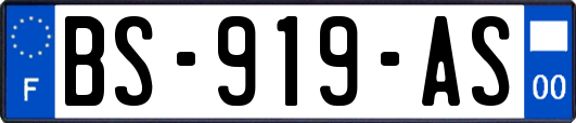 BS-919-AS