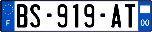 BS-919-AT