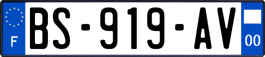 BS-919-AV