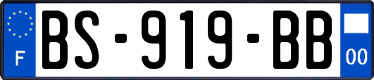 BS-919-BB