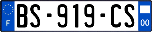 BS-919-CS