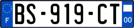 BS-919-CT