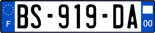 BS-919-DA